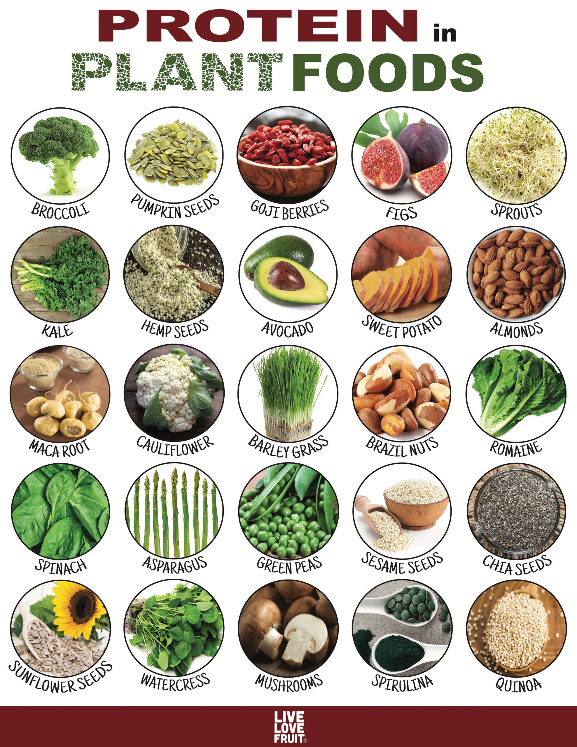 Printable High-Protein Plant Foods | Printable List of Protein Foods