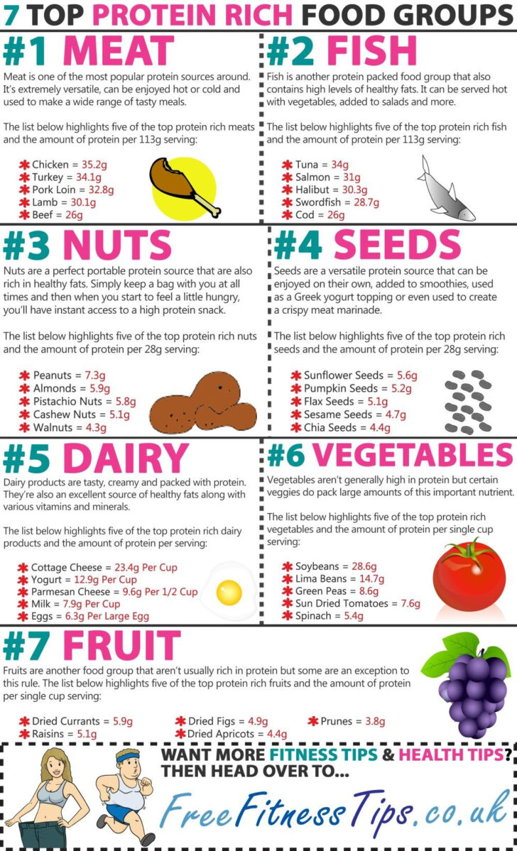 Printable List Of Protein-Rich Foods