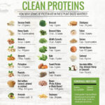 CHART CLEAN PROTEINS WITH THE AMOUNT OF PROTEIN GRAMS IN THEM Clean