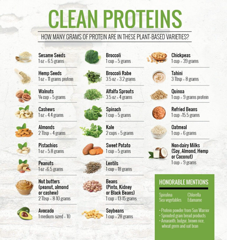 Printable List Of Protein Foods And Grams