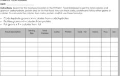 Food Diary Log Journal Templates