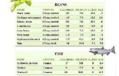 High Protein Foods List For Weight Loss
