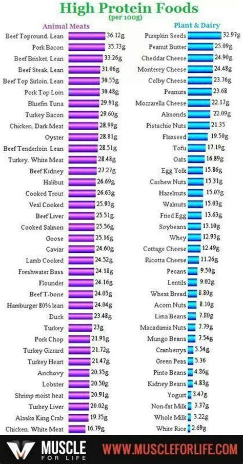 Printable Protein Food Chart PDF