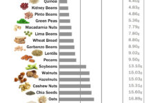 Infographic Plant Protein Chart Vinchay Labs Vegan Nutrition Food