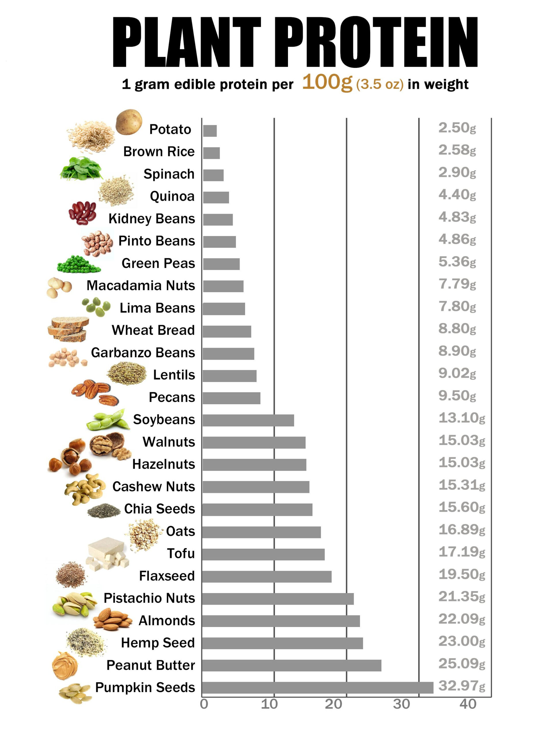 Infographic Plant Protein Chart Vinchay Labs Vegan Nutrition Food 