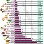 Protein Sources For Vegetarians With Images Vegetarian Protein