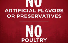 Purina ONE True Instinct Natural High Protein With Real Turkey