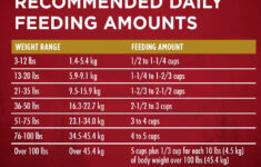 Purina ONE True Instinct Natural High Protein With Real Turkey