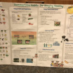 Summertime Healthy Habits For Dialysis Cold Meals Low Potassium