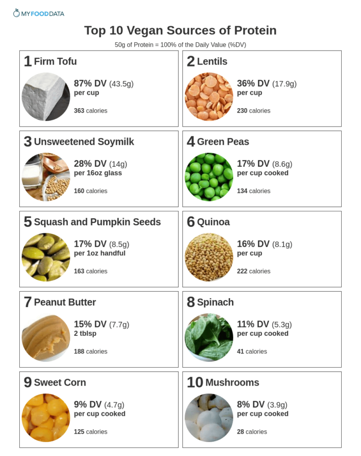 Vegetarian Protein Foods List Printable