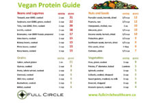 Vegan Proteins An Accurate Reference Guide Full Circle Health Care